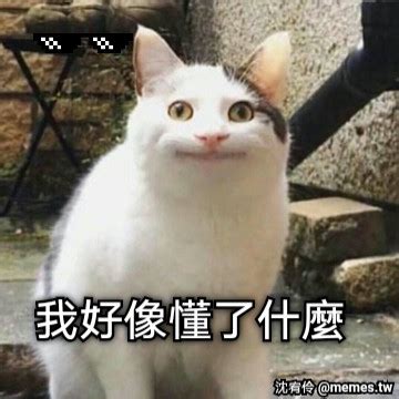 懂了嗎